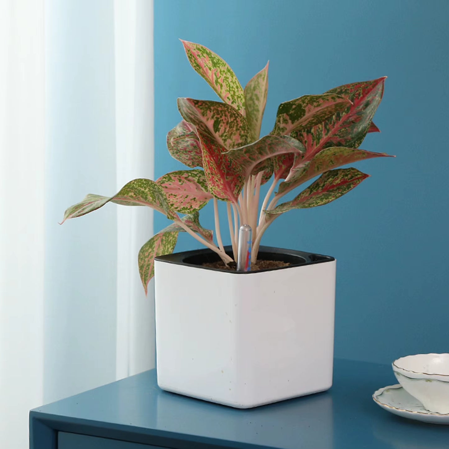 Self Watering Planter White Flower Pot with Water Level Indicator White Self Watering Planter Modern Decorative Planter Pot